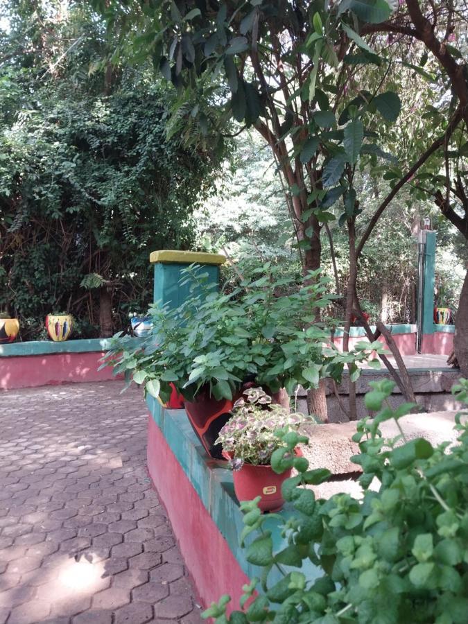 Green Garden Guest House Аруша Екстер'єр фото